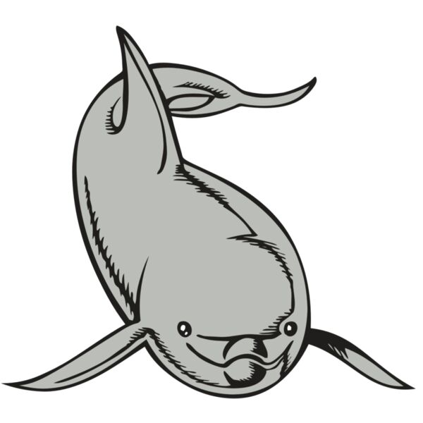 BAW DOLPHIN 02 RC Thumbnail