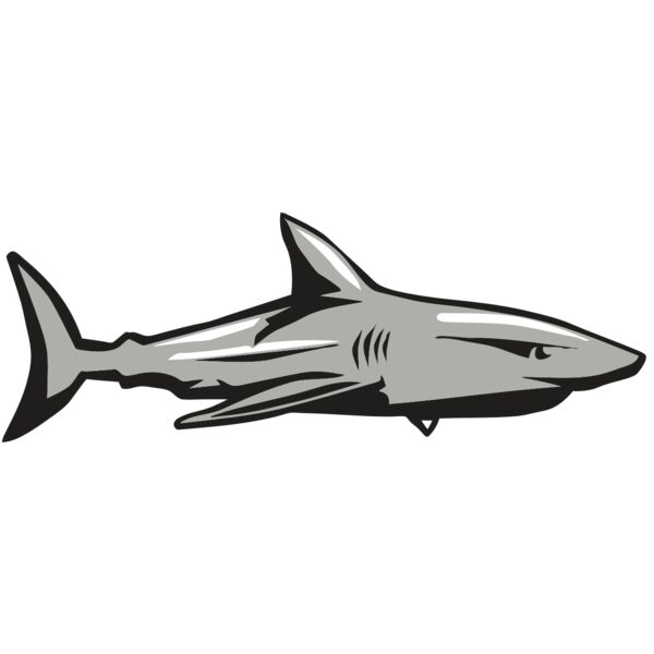 AR9 SHARK 01 RQC Thumbnail